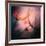 Feathery-Ursula Abresch-Framed Giclee Print