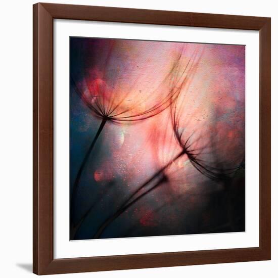 Feathery-Ursula Abresch-Framed Giclee Print