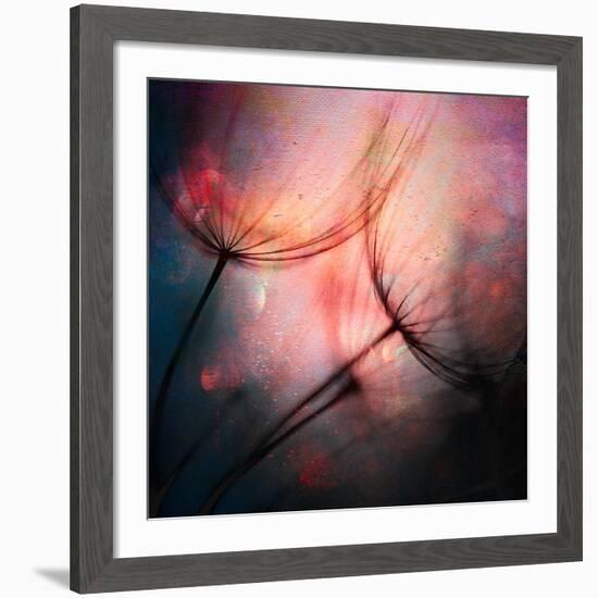 Feathery-Ursula Abresch-Framed Giclee Print