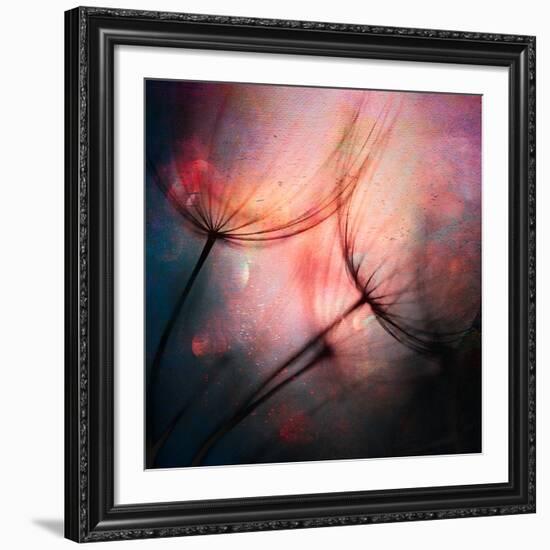 Feathery-Ursula Abresch-Framed Giclee Print