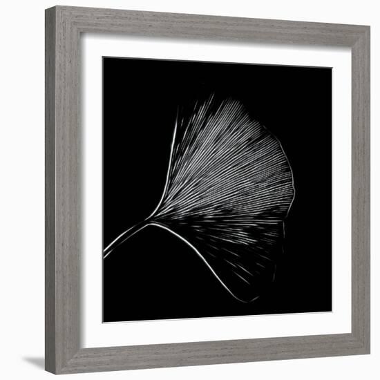 Features of a Ginkgo Leaf-Philippe Sainte-Laudy-Framed Photographic Print