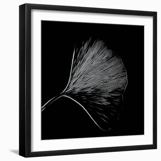 Features of a Ginkgo Leaf-Philippe Sainte-Laudy-Framed Photographic Print