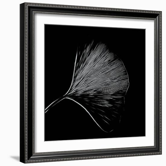 Features of a Ginkgo Leaf-Philippe Sainte-Laudy-Framed Photographic Print