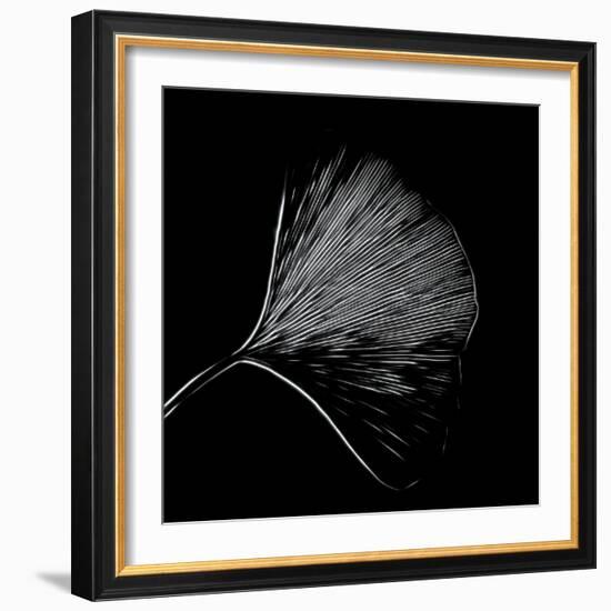 Features of a Ginkgo Leaf-Philippe Sainte-Laudy-Framed Photographic Print