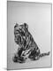 Photographic Print