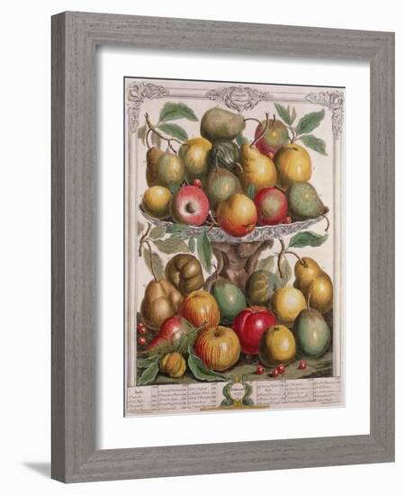 February, from 'Twelve Months of Fruits'-Pieter Casteels-Framed Giclee Print