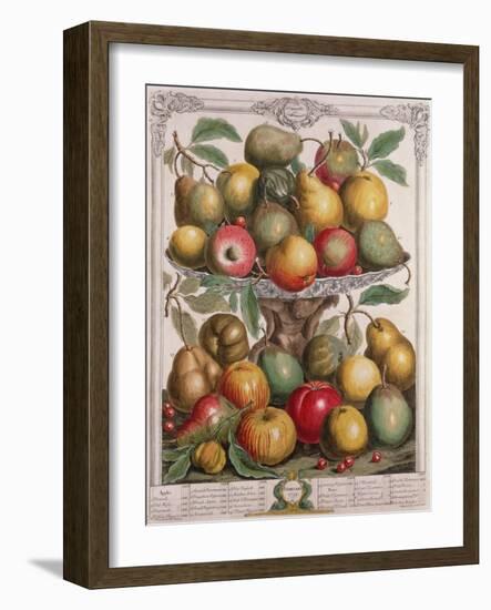 February, from 'Twelve Months of Fruits'-Pieter Casteels-Framed Giclee Print