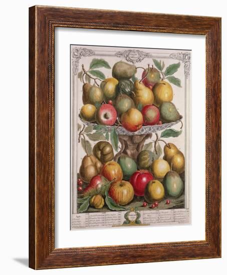 February, from 'Twelve Months of Fruits'-Pieter Casteels-Framed Giclee Print