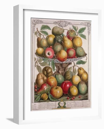 February, from 'Twelve Months of Fruits'-Pieter Casteels-Framed Giclee Print