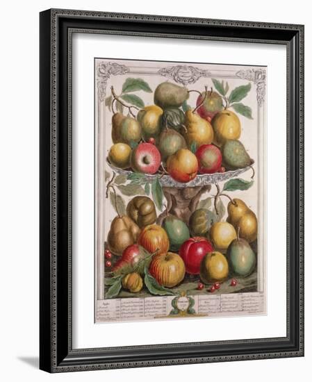 February, from 'Twelve Months of Fruits'-Pieter Casteels-Framed Giclee Print