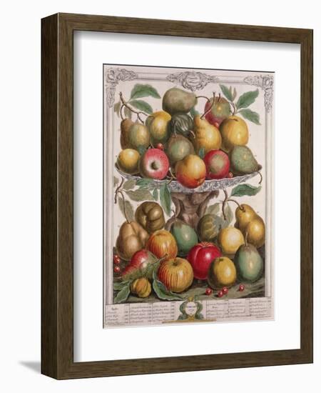 February, from 'Twelve Months of Fruits'-Pieter Casteels-Framed Giclee Print