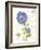 February Periwinkle-Ariane Sarah-Framed Art Print