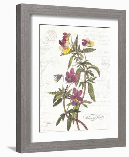 February Violet on White-Katie Pertiet-Framed Art Print