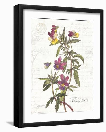 February Violet on White-Katie Pertiet-Framed Art Print