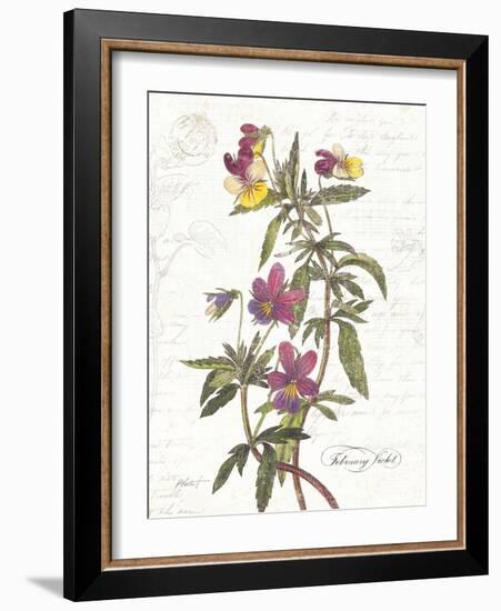 February Violet on White-Katie Pertiet-Framed Art Print