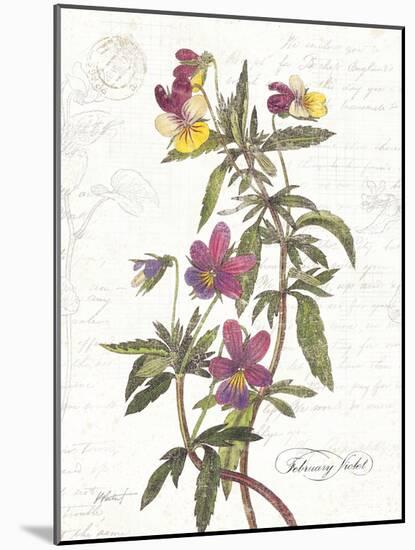 February Violet on White-Katie Pertiet-Mounted Art Print