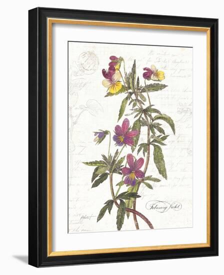 February Violet on White-Katie Pertiet-Framed Art Print