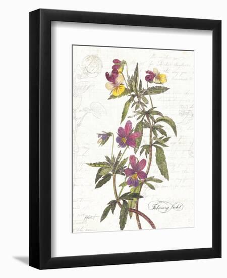 February Violet on White-Katie Pertiet-Framed Art Print