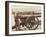 Federal Artillery during the American Civil War (1861-65) (B/W Photo)-Mathew Brady-Framed Giclee Print