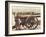 Federal Artillery during the American Civil War (1861-65) (B/W Photo)-Mathew Brady-Framed Giclee Print