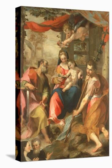 Stretched Canvas Print, , large