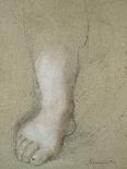 Study of a Foot-Federico Fiori Barocci-Giclee Print