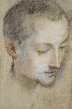 Study of a Young Man's Head-Federico Fiori Barocci-Giclee Print