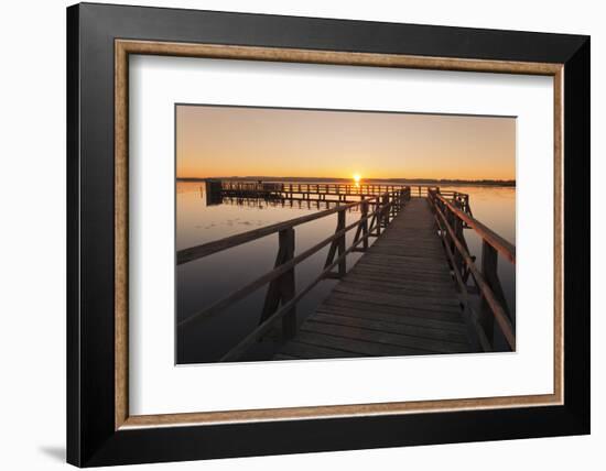 Federsee Lake at sunrise, Nature reserve, Bad Buchau, Upper Swabia, Baden-Wurttemberg, Germany, Eur-Markus Lange-Framed Photographic Print