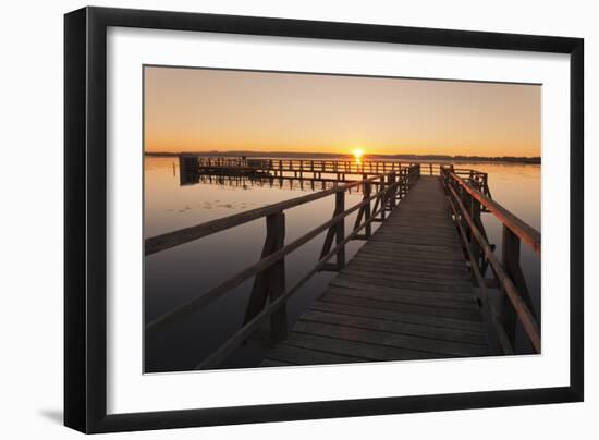 Federsee Lake at sunrise, Nature reserve, Bad Buchau, Upper Swabia, Baden-Wurttemberg, Germany, Eur-Markus Lange-Framed Photographic Print