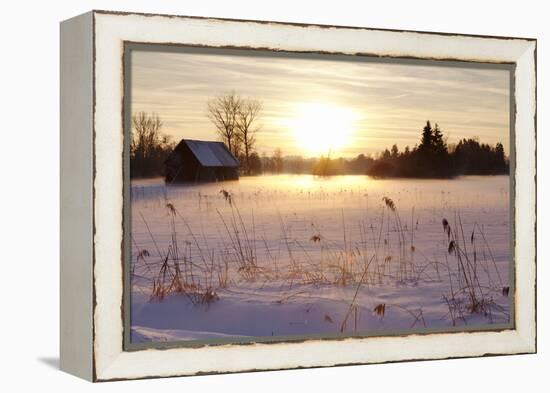 Federsee Nature Reserve at Sunset in Winter-Markus-Framed Premier Image Canvas