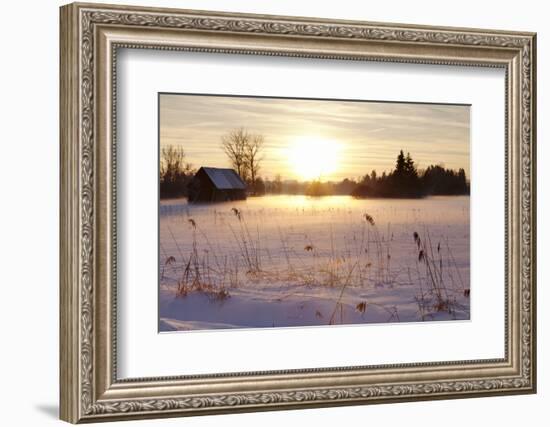 Federsee Nature Reserve at Sunset in Winter-Markus-Framed Photographic Print