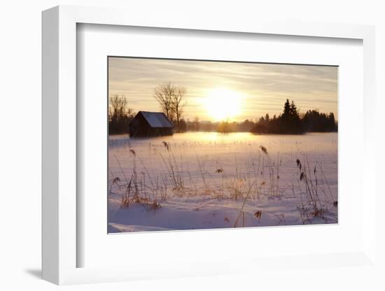 Federsee Nature Reserve at Sunset in Winter-Markus-Framed Photographic Print