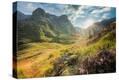 Stretched Canvas Print