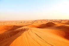 Red Sand Arabian Desert near Dubai, United Arab Emirates-Fedor Selivanov-Photographic Print