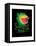 Feed Me-Michael Buxton-Framed Stretched Canvas