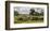 Feed Time-Robert Moore-Framed Art Print