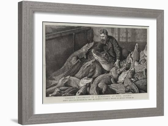Feeding Crocodiles in a Menagerie, at Bone, Algeria-null-Framed Giclee Print