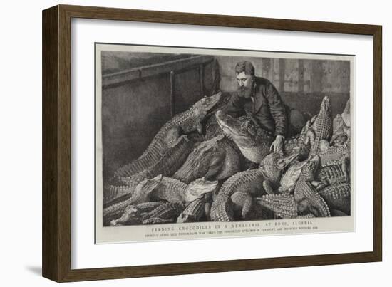 Feeding Crocodiles in a Menagerie, at Bone, Algeria-null-Framed Giclee Print