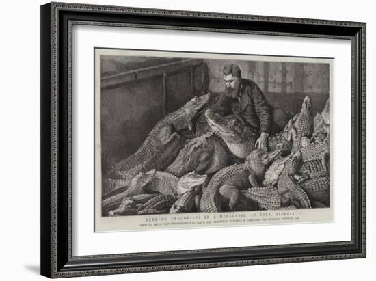 Feeding Crocodiles in a Menagerie, at Bone, Algeria-null-Framed Giclee Print