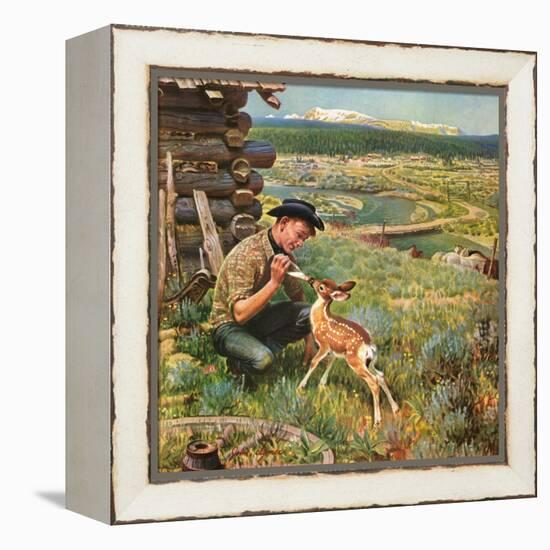 "Feeding Fawn Near Flowering Field", May 27, 1950-John Clymer-Framed Premier Image Canvas