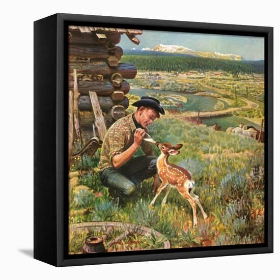 "Feeding Fawn Near Flowering Field", May 27, 1950-John Clymer-Framed Premier Image Canvas