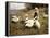 Feeding Geese, 1890-Alexander Koester-Framed Premier Image Canvas