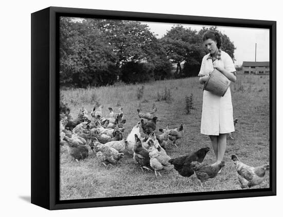 Feeding Hens-null-Framed Premier Image Canvas