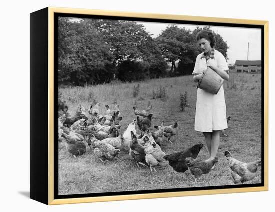Feeding Hens-null-Framed Premier Image Canvas