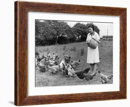 Feeding Hens-null-Framed Photographic Print