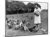 Feeding Hens-null-Mounted Photographic Print