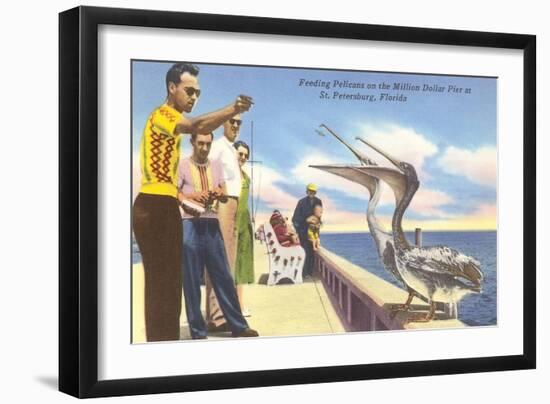 Feeding Pelicans, St. Petersburg, Florida-null-Framed Art Print