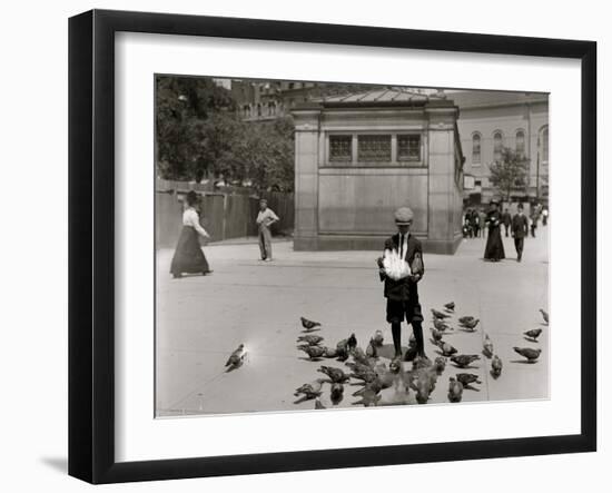 Feeding Pigeons-null-Framed Photo