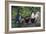 Feeding Ralphie-Debbi Wetzel-Framed Giclee Print