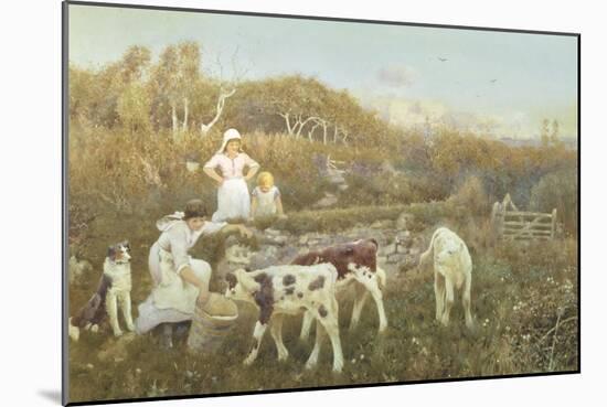 Feeding the Calves-Thomas J. Lloyd-Mounted Giclee Print